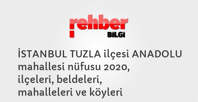 İSTANBUL TUZLA ilçesi ANADOLU mahallesi nüfusu 2020, ilçeleri, beldeleri, mahalleleri ve köyleri